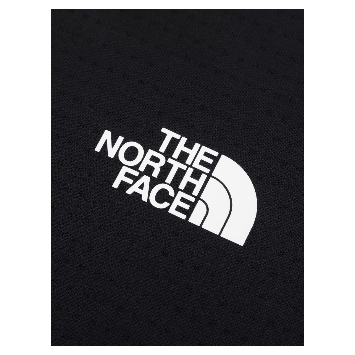 THE NORTH FACE S/S Dry Dot Light Crew NT12588
