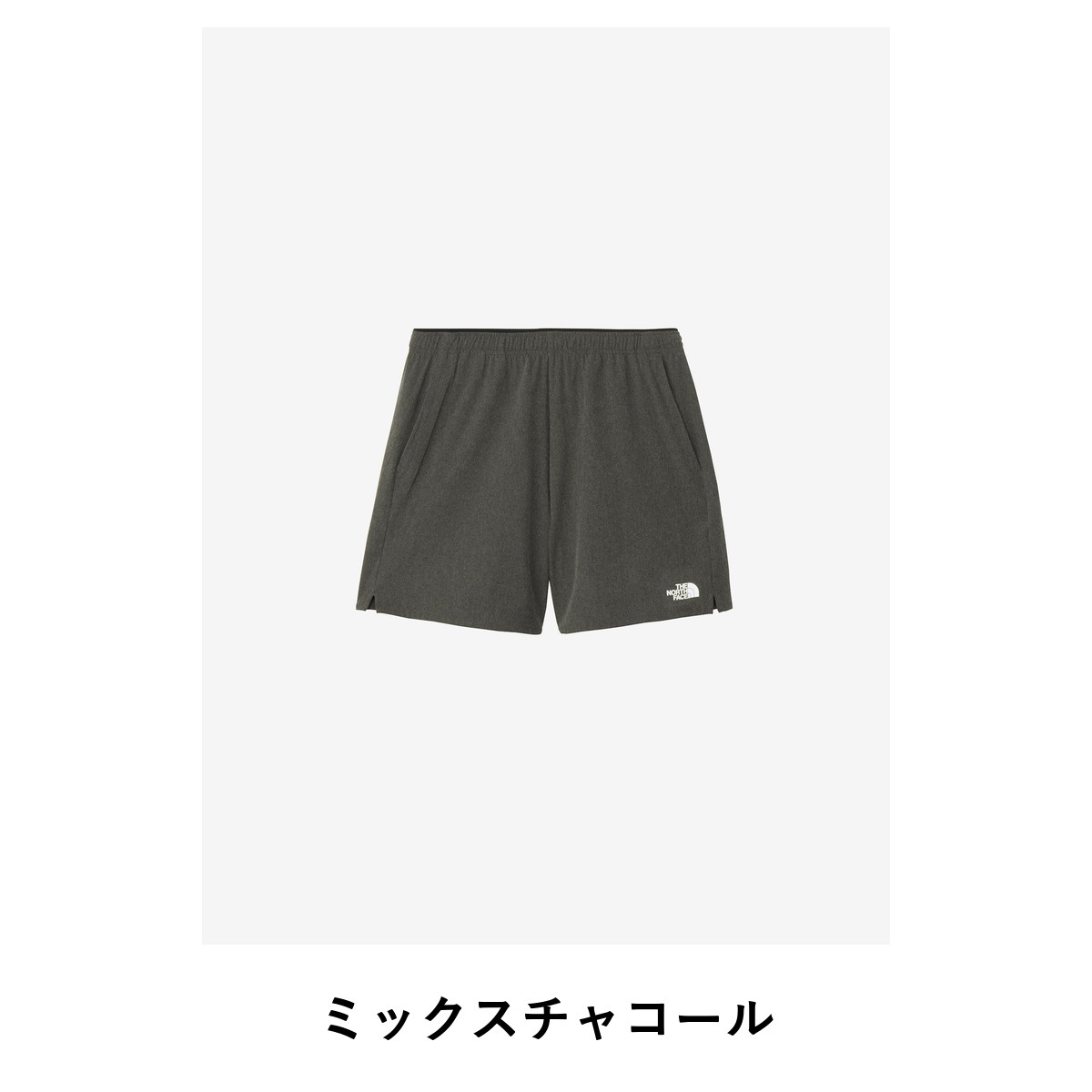 THE NORTH FACE Flexible Short NBW22581
