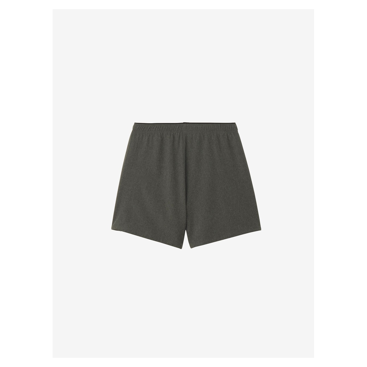 THE NORTH FACE Flexible Short NBW22581