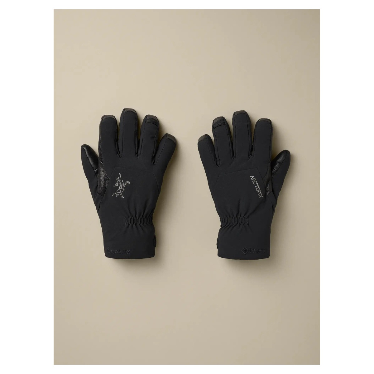 ARC'TERYX Venta GTX Glove X00000993501 | すべての商品 | アウトドア