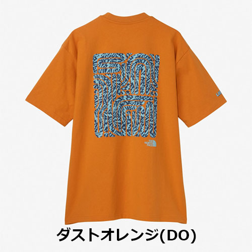 ザ・ノース・フェイス THE NORTH FACE ショートスリーブレイバックトライバルティー（ユニセックス） S/S LAYBACK Tribal Tee NT12610