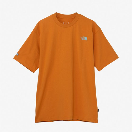 ザ・ノース・フェイス THE NORTH FACE ショートスリーブレイバックトライバルティー（ユニセックス） S/S LAYBACK Tribal Tee NT12610