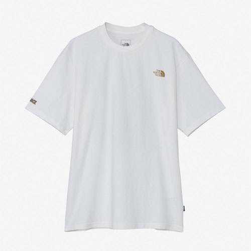 ザ・ノース・フェイス THE NORTH FACE ショートスリーブレイバックトライバルティー（ユニセックス） S/S LAYBACK Tribal Tee NT12610