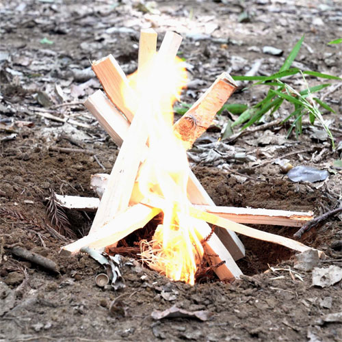 ブッシュクラフト Bush Craft ティンダーロール 50159