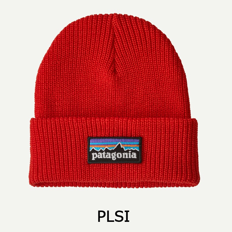 パタゴニア Patagonia キッズ・ロゴ・ビーニー 66046 | すべての商品