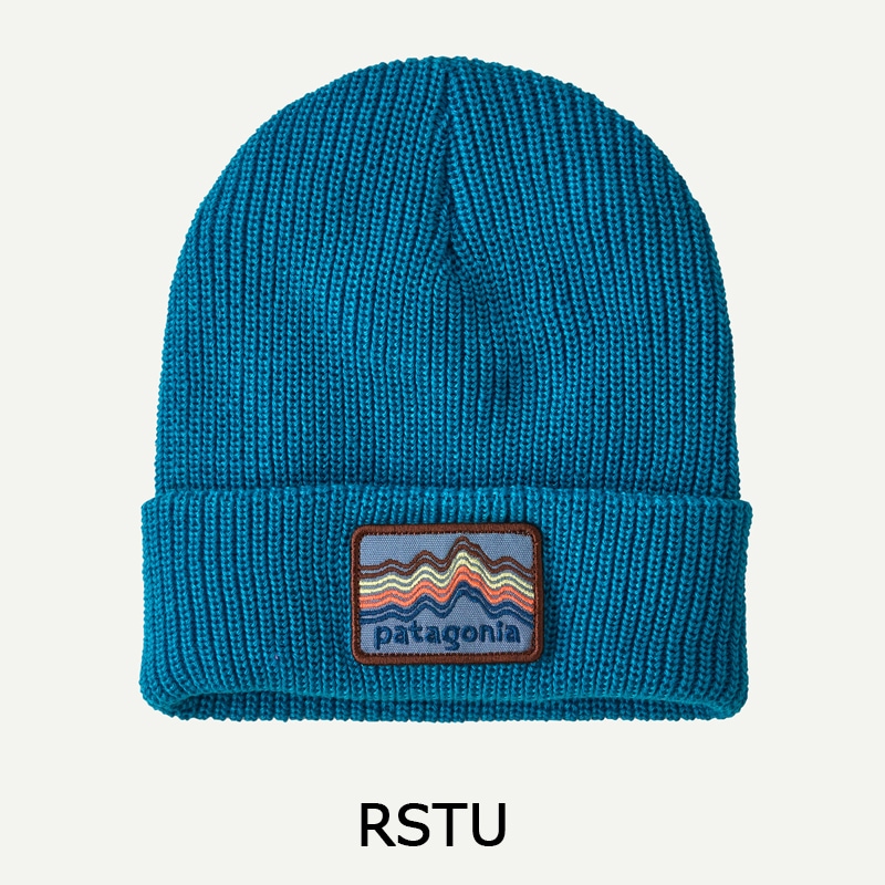 パタゴニア Patagonia キッズ・ロゴ・ビーニー 66046 | すべての商品