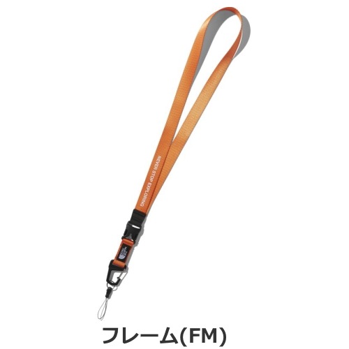 ザ・ノース・フェイス THE NORTH FACE TNFランヤード NN32120