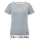 IV/DN x M
