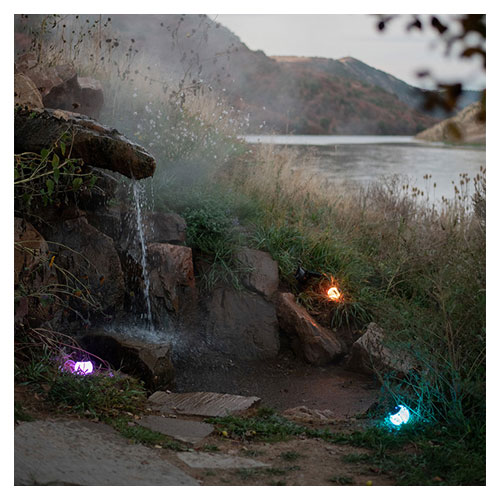 ベアボーンズ BAREBONES マルチカラーグローブライト 20230025