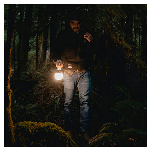 ベアボーンズ BAREBONES マルチカラーグローブライト 20230025