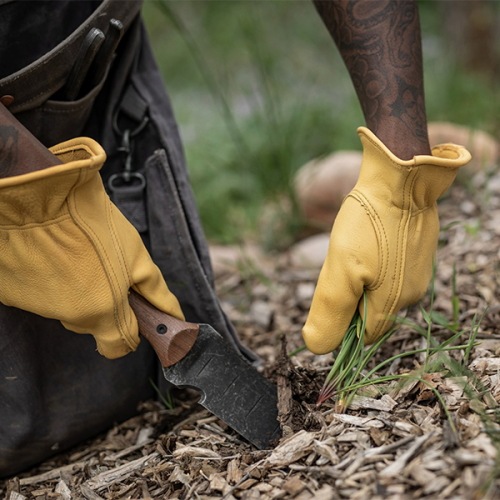 ベアボーンズ BAREBONES クラシックワークグローブ゙ 20232019