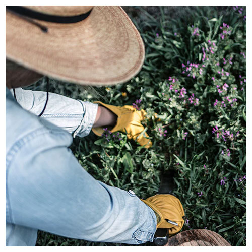 ベアボーンズ BAREBONES クラシックワークグローブ゙ 20232019