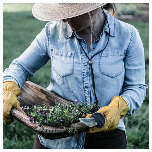 ベアボーンズ BAREBONES クラシックワークグローブ゙ 20232019