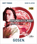 ��������RISINGSTORM  �饤���󥰥��ȡ���