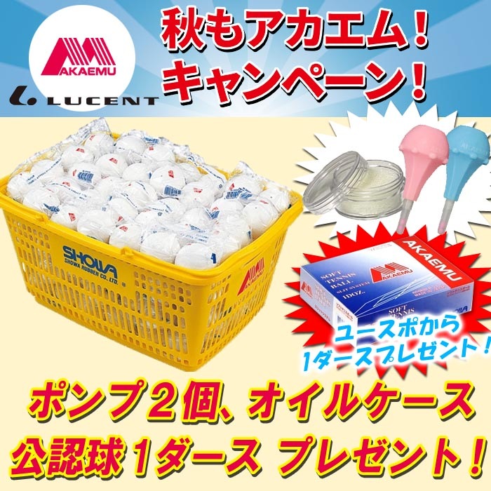 【新品未使用】アカエム　練習球6ダース　公認球2ダース 新品未使用】アカエム練習球6ダース公認球2ダース