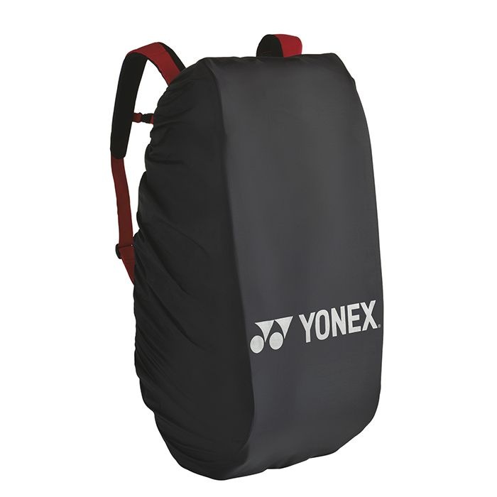 BAG25RC쥤󥫥С