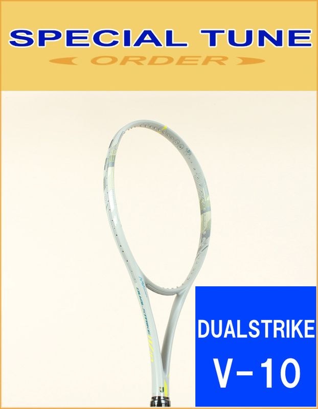 スペシャルチューン】DUALSTRIKE V-10 デュアルストライク V-10
