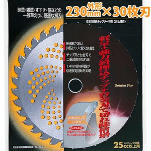 ����ܥ� ����������åץ���W�� 230�ա�30P ���֡�210426