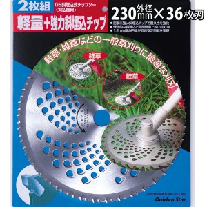 ����ܥ� ����������åץ���(2����) 230�ա�36P ���֡�210428