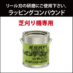 ����ܥ���������ǥ󥹥������Ǵ����� ��åԥ󥰥���ѥ���� 1kg������ 538501