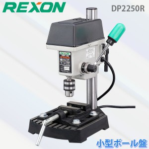 REXON/쥯 ܡ DP2250R ܡ ñ100V 