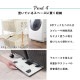 ���ɥ꡼��å� �Х����å��դ� ������ 2�ʥХ����å� ��56cm �磻�ɥ����� ʬ������ʪ��å� ����4���դ� ���㥹�����դ� �������ʥ饿��Ĵ �ۥ磻�� �������֥饦�� ���졼 ����Բ�