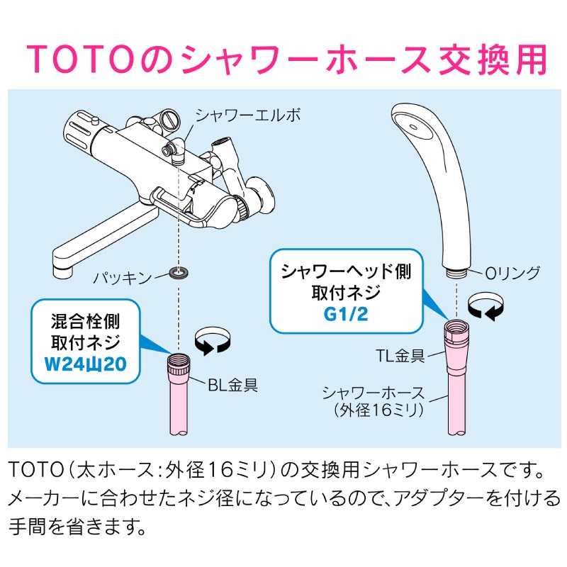  쥨 TOTO ۡ 1.6 10 ۥ磻 TOTOۡ 16ߥ ۡ ޤȤ㤤 GA-FK143  GAONA 