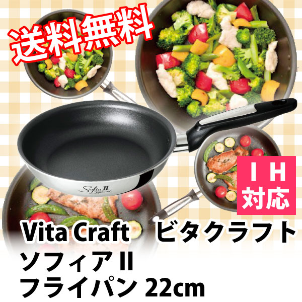 �ӥ�����եȥե饤�ѥ󡡥ӥ�����ե� ���ե���2���ե饤�ѥ�22cm ��No.1742�ˡ�VitaCraft Sofia2�����ե��� II�ڥӥ�����եȥ��ե���II��