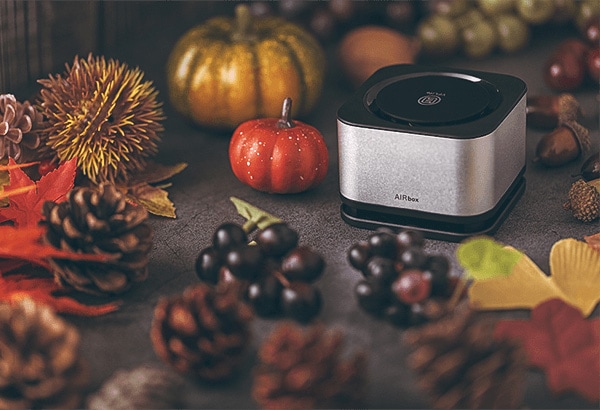 YFLife AIRbox YFAM-ABBK Ķѥ  ֥å ʥθ޶ ܥå ե륿  륹ʴŰ 磻ե饤