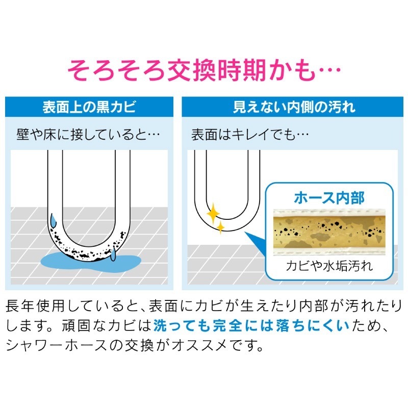  쥨 ۡ 1.2m ޥåȥ֥å 鴶   ɥ ˥åȥХ ۡû ۡ GA-FK155  GAONA 