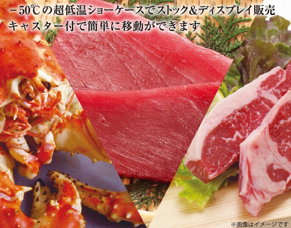 Υ䵡 Ķ㲹硼 ॹȥå LTS-300 ̳ ե꡼ 300L -50 ʼ־Ϥ ĿԲ Բġ ̵ (졦Υ硦) ֥ץ󤢤