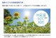 Ǽ��7�������������� �롼�२������ ��� 14���� ���� CSH-B40AR(W) 4.0kw B���꡼�� ����դ�ɸ�๩������� ñ��100V CSHB40ARW �ۥ磻�� Relala CORONA
