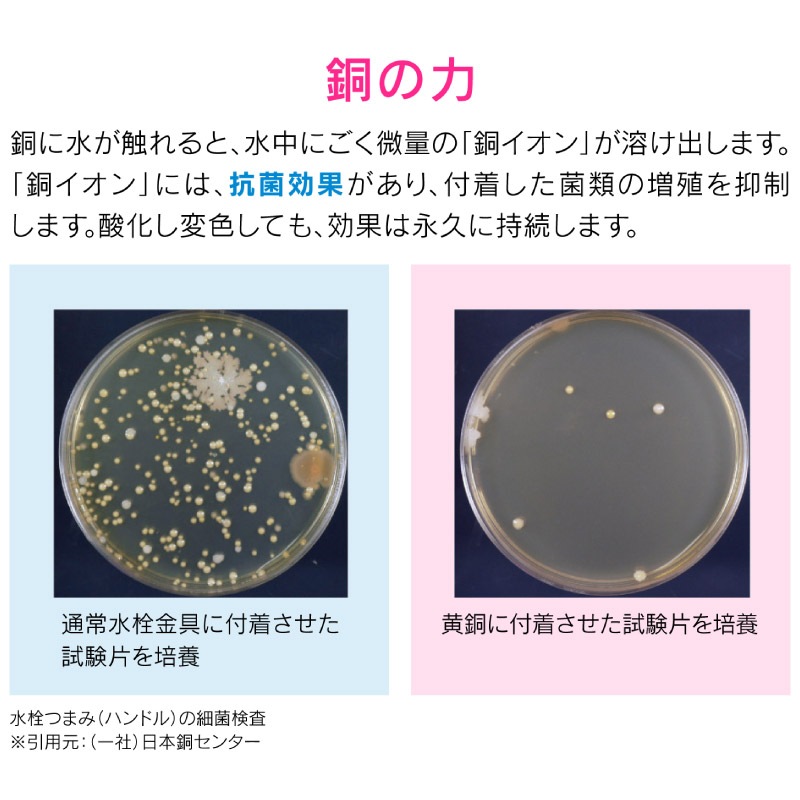  쥫 ήӿ奴߼ 8  Ƽ С ߼  ߥ˥å GA-PB045  GAONA 