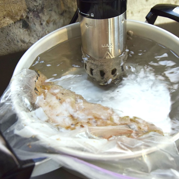 󥳡 㲹Ĵ ޥ å S SSHORSLC ʥƥå ϥǥ Ĵ