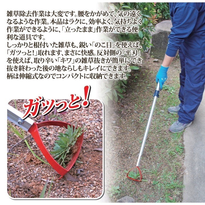 ȴäȡ֤Ȥץӥå߿̥ 870276 ̵ʳ   𴢤   к Ż ǥ˥  Ȫ  ̼ ƻ 