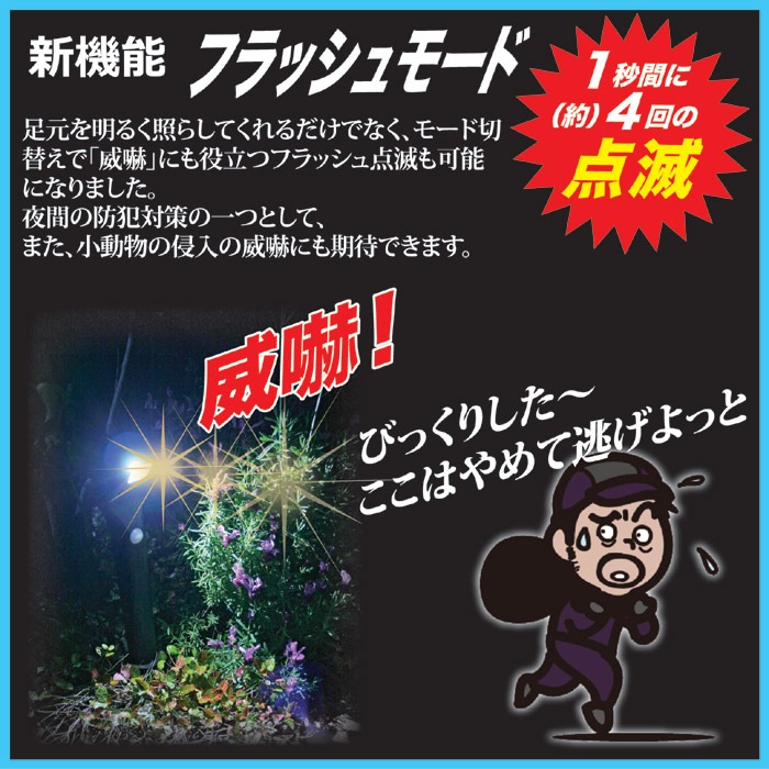 新品未使用未開封お買い物ぱんだ　チャージアンド（ライト＆置くだけ充電）広島限定 新品未使用未開封お買い物ぱんだ チャージアンド（ライト＆置く
