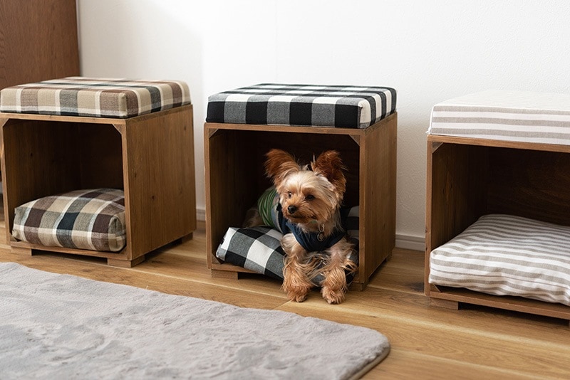 東谷　ペット ベッド　PET-68　W60×D45×H35×SH20　2kg　完成品 東谷 AZUMAYA ペット ベッド PET-68 ナチュラル