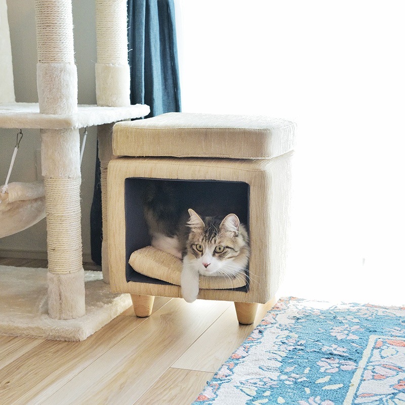 w　ペット　スツール　定価18000円　動物　犬　猫　イヌ　ネコ　格安！ w ペット スツール 定価18000円 動物 犬 猫 イヌ ネコ 格安