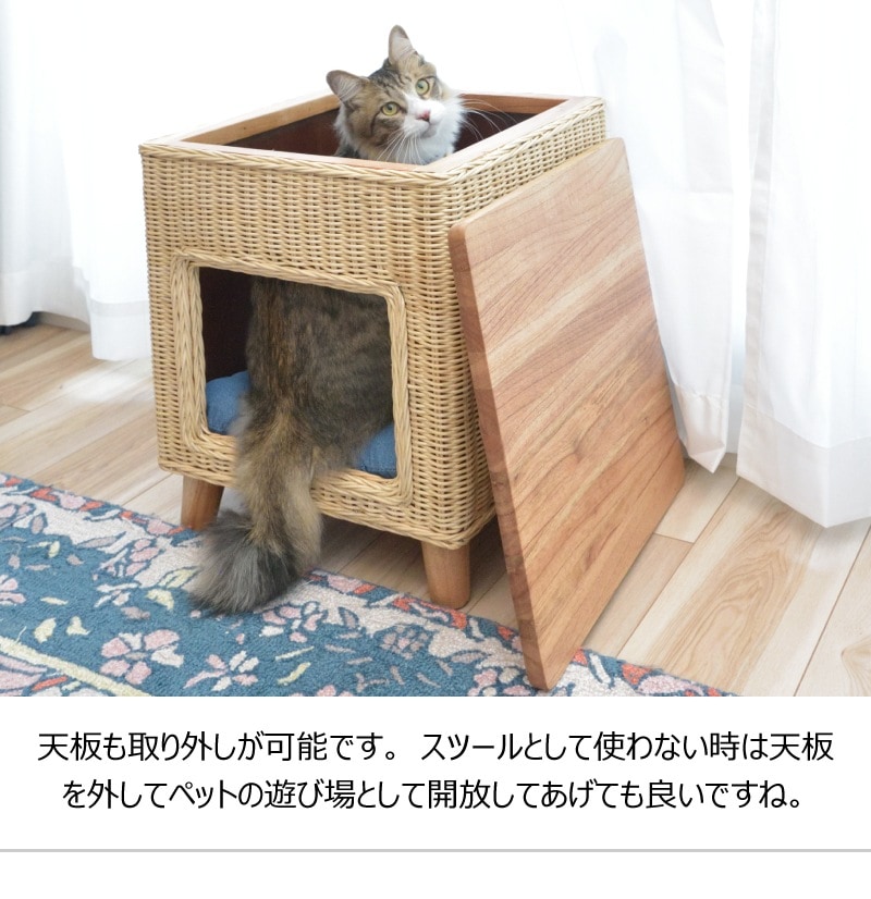 断捨離中★猫好きルナページ　よもぎ蒸し専用椅子　7点セット 断捨離中☆猫好きルナ様専用ページ よもぎ蒸し専用椅子 7