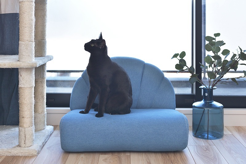 ユアサプライムス.com｜ペットソファ クッション 猫 小型犬 コンパクト