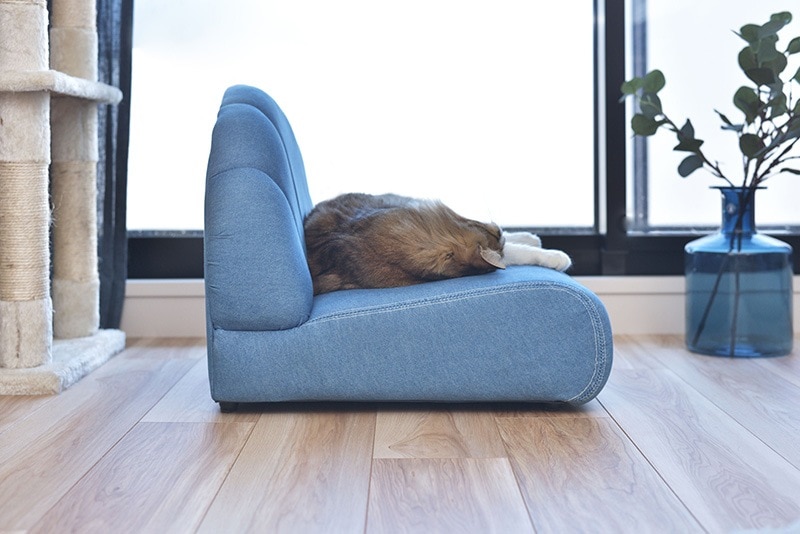 ユアサプライムス.com｜ペットソファ クッション 猫 小型犬 コンパクト