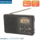 顼׵ǽ AM/FMǥ塼ʡ饸 ӥ饸  ɺ  DSP DMR-C620 WINTECH/ƥå