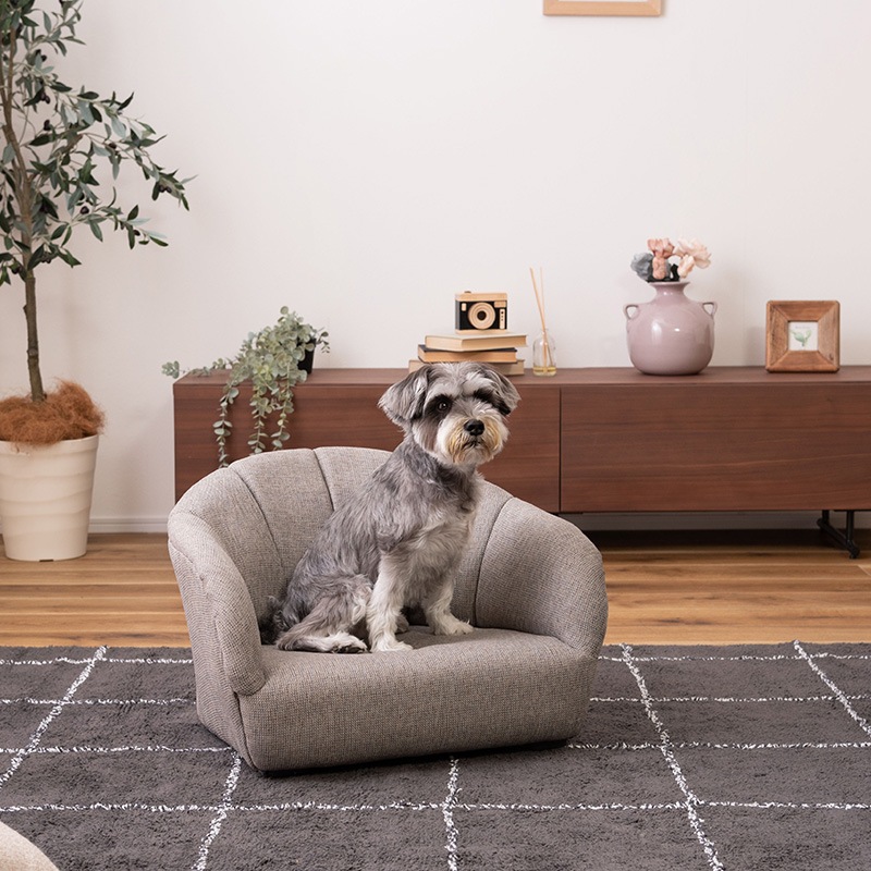 3_000000011554.jpg?1741756315