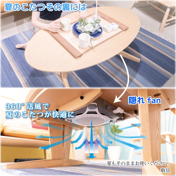 ȥŵ DC⡼ ե˥å ֱfan FU-1201(K)  