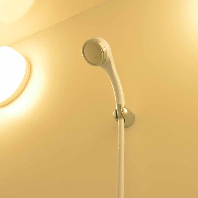 ������ ���쥫�� ���奷���ۡ������åȡʥԥ奢��� �ۥ磻�� ���� �緿 ȱ��ȩ�ˤ䤵���� ���ǽ��� ���  GA-FH035 ������ GAONA ��������