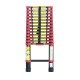 ����ߥ� ���̤Ϥ��� ����� ���� �եå��դ� 4.1m 14�� ASH-410BKF �Ѳٽ�100kg �صͤ��ɻ� ��Ǽ���դ� ����Բ� ALUMIS