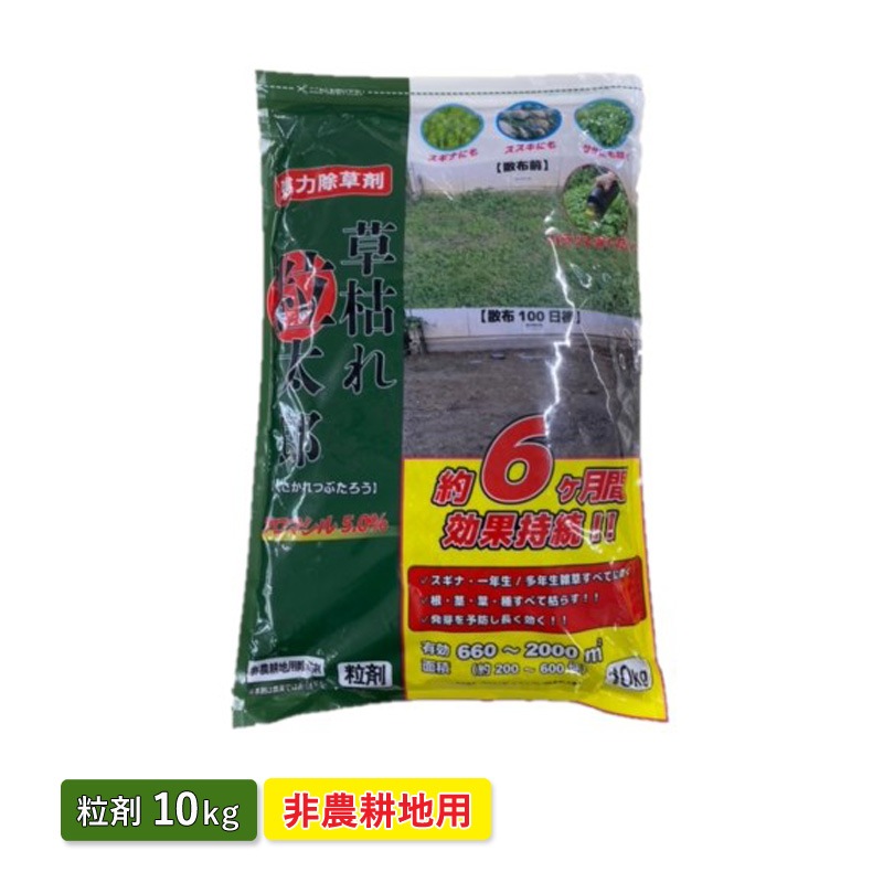 ���󥻥� ��Ϥ�γ��Ϻ 514148 ���Ͻ���� ���������� ������������� �֥��ޥ���5�� γ�� 10kg ��200��600�� 6������̻�³ ������ ������ ���� ��ǯ������ ¿ǯ������ ���� ���� ��־� ƻϩ ���� SHINSEI ����Բ�