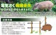 �����ǥ� �ŵ��� ���ץ���󥻥å� 250m 4��ĥ������ A���å� 1034180 �ݡ��� 1800mm 50�� ����(����) 1000m �ƥ����� �����ȥ���å� ���� �����ʤɤγ����к��� ����Բ� suiden