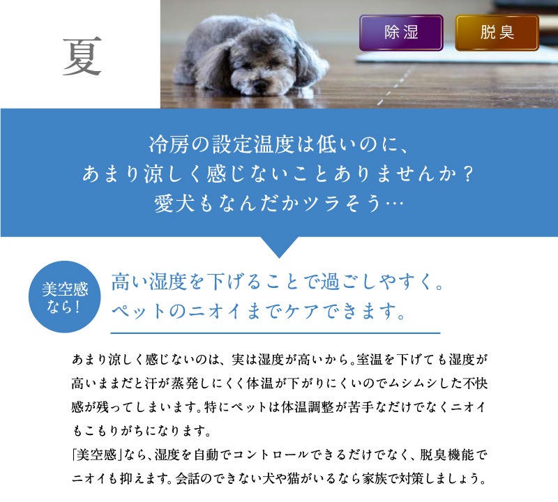 ɩŵ  æ MJ-PHDV24YX-W  æ ۥ磻 ץå ¤30 ץϥ46 󥯥꡼61 MITSUBISHI