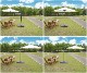�����ǥ�ѥ饽�� �١������å� �緿��300cm ����Ĵ�ᵡǽ 360���ž UV���å� ����ȵ�ǽ�դ� ��Ω�� 360������ž�� �����ܥ꡼ �������Բ� �̳�ƻ�����츩��Υ������ã�Բ�
